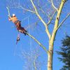 Rapid Tree Care Liverpool