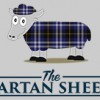 The Tartan Sheep