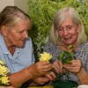 Waterbeach Lodge Care Home