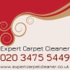 Daily Carpet Cleaning