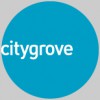 Citygrove Securities