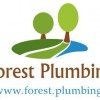 Forest Plumbing