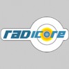 Radicore Software