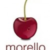 Morello Recruitment Solutions