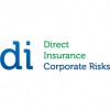 Direct Insurance Group