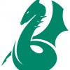 Dragon Veterinary Centre