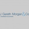 J Gareth Morgan