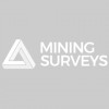 Merrett Mining Surveys