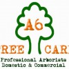 A6 Tree Care