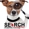 Search Internet Marketing