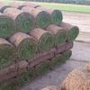 Abbey Lawn Turf Supplies