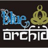 Blue Orchid