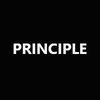 PRINCIPLE Digital Marketing Agency