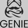 Genie Properties