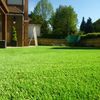 Dayco Artificial Grass London