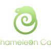 Chameleon Cars