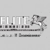 Elite Limousines V I P Protection Services