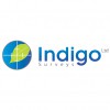 Indigo Surveys