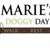 Marie's Doggy Day Care