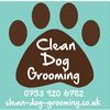 Clean Dog Grooming