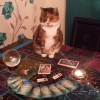 Mystic Star Psychic Medium