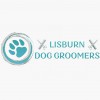 Lisburn Dog Groomers