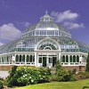 Sefton Park Palm House Preservation Trust