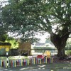 Liskerrett Pre-school