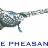 The Pheasant Hotel