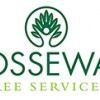 Fosseway Tree Services