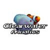 Clearwater Aquatics