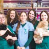 The Bishops Veterinary Surgery