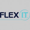 Flex Information Technology