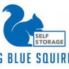 Big Blue Squirrel Self Storage