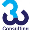 3 W Consulting