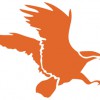 Osprey Consulting Services