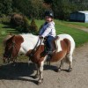 Beaver Hall Equestrian Centre