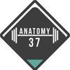 Anatomy 37