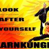 Learn Kung Fu Within The Park Club