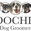 Poochini