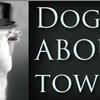 Dogs About Town