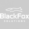 Black Fox Solutions