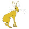 Yellow Hare