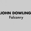 John Dowling Falconry