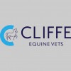 Cliffe Equine