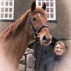 Witherslack Hall Equestrian Centre