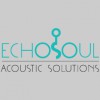 Echosoul