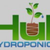 Hull Hydroponics