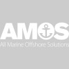 Amos Group