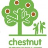 Chestnut Nursery School